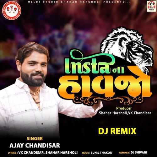 Insta Na Havajo (DJ Remix)