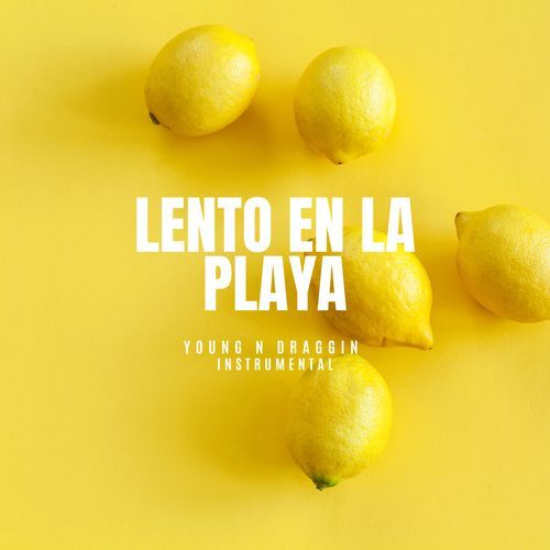 Lento en la Playa