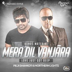 Mera Dil Vanjara (Reprise)-QQ0OREVjVVQ