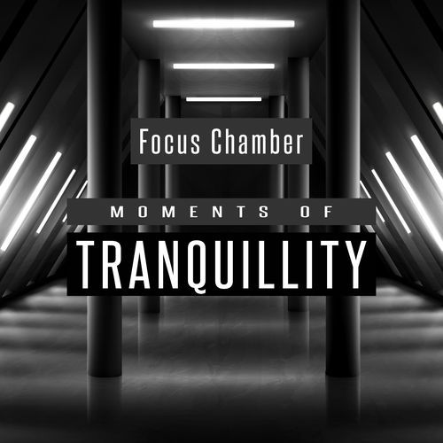 Moments of Tranquillity_poster_image