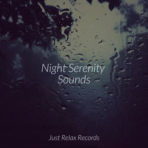 Night Serenity Sounds_poster_image