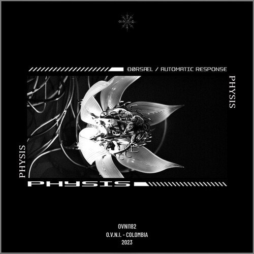 Physis (Original Mix) cover art