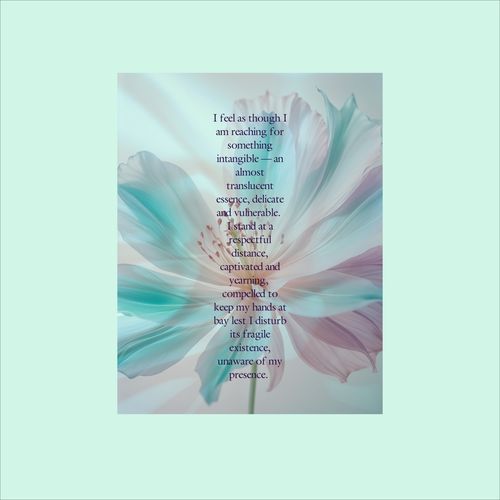R E V E R B E R A T I O N S cover art