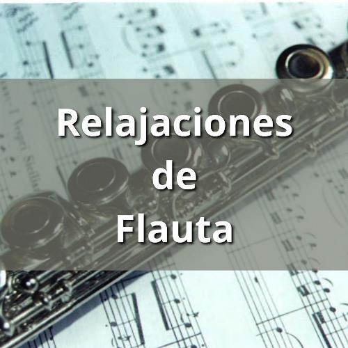 Relajante de Flauta y Guitarra China cover art