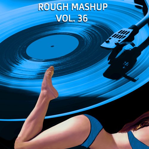 Rough Mashup, Vol. 36 (Special Extended Instrumental And Drum Versions)