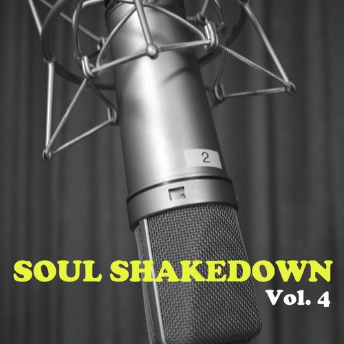 Soul Shakedown, Vol. 4