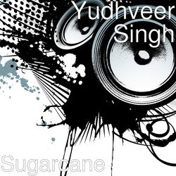 Yudhveer Singh