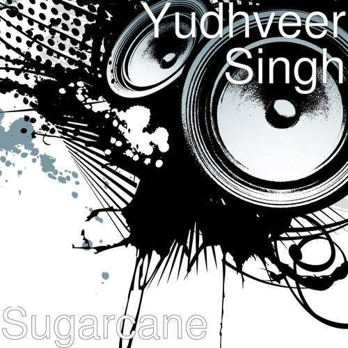 Yudhveer Singh
