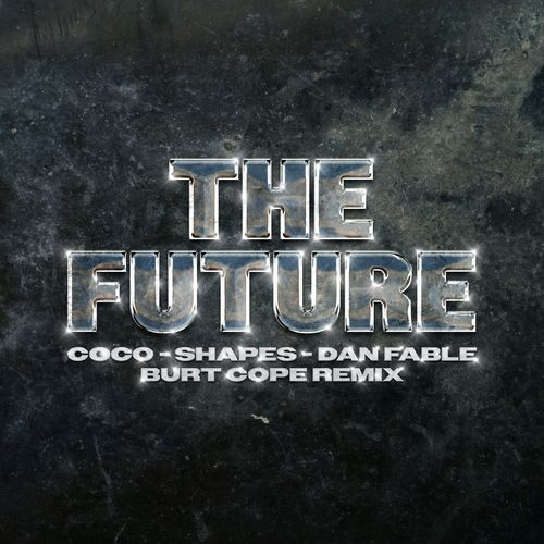 The Future (Burt Cope Remix) (Burt Cope Remix)