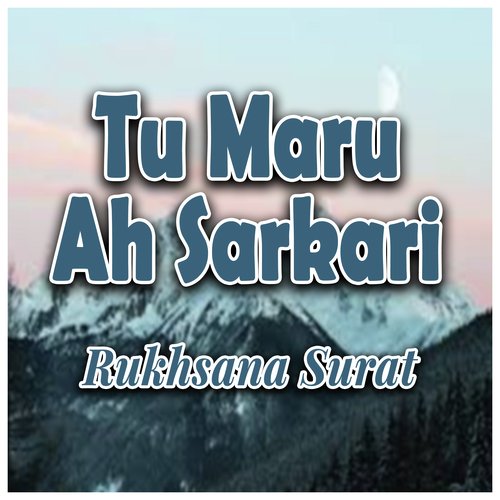 Tu Maru Ah Sarkari