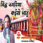 Vindh Nagariya Kaise Jahu