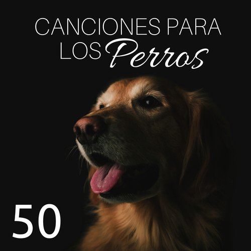 Sonidos Relajantes cover art