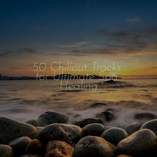 Nature's Symphony cover art