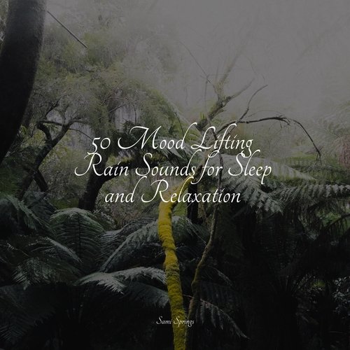 50 Mood Lifting Rain Sounds for Sleep and Relaxation