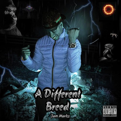 A Different Breed_poster_image