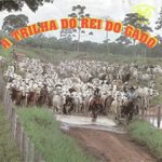 Rei do Gado