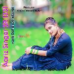 Aariz Singer SR 1331