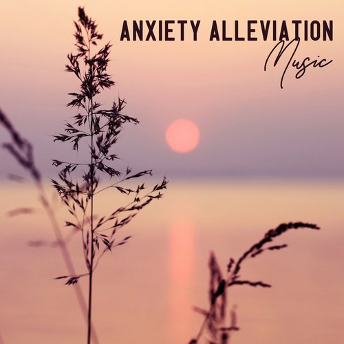 Anxiety Alleviation Music: Stress Relief Music_poster_image