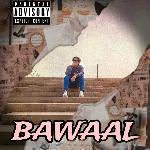 Bawaal