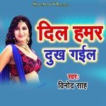 Dil Hamar Dukh Gail