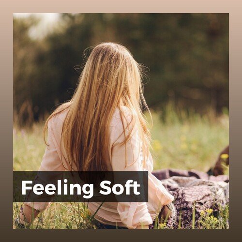 Feeling Soft_poster_image