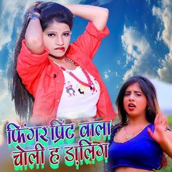 Fingar Print Vala Choli H Darling