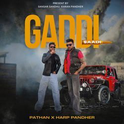 Gaddi Saadi