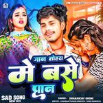 Jaan Tohara Me Base Praan