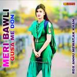 Meri Bawli Gusa Me Don artwork
