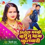 Milela Abki Baari Tu Aaja Phulwari