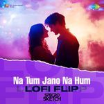 Na Tum Jano Na Hum - LoFi Flip