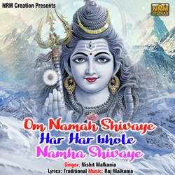 Om Namah Shivaye Har Har Bhole Namha Shivaye-AR1ZBEFXQAU