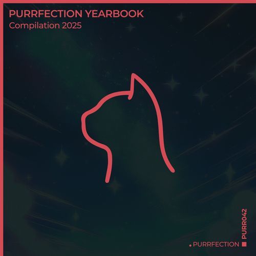 Her Shadow Stays cover art
