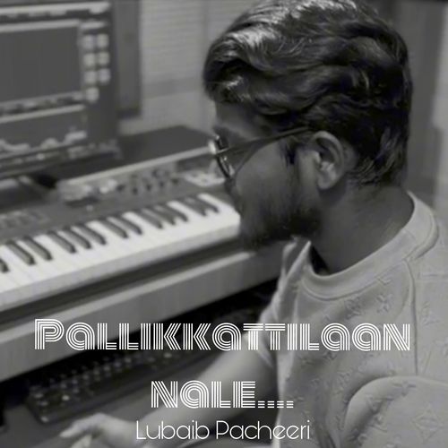 Pallikkattilaan nale