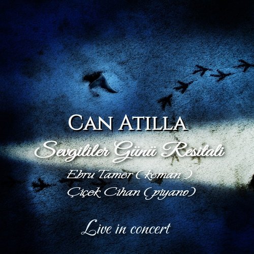 Sultanlar Aşkına cover art