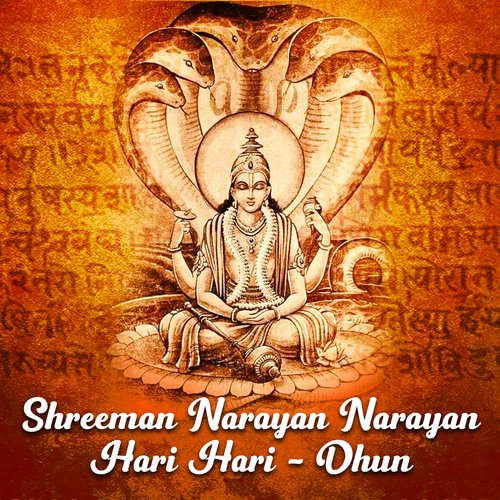 Shreeman Narayan Narayan Hari Hari - Dhun