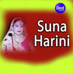 Asilu Tu Jadi Jibanare Mora Title Romantic