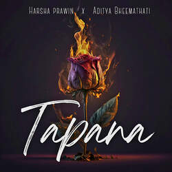 Tapana-PAQGdyZdUwo