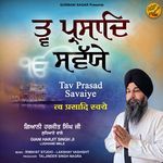 Tav Prasad Savaiye
