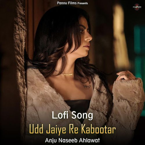 Udd Jaiye Re Kabootar (Lofi Remix)