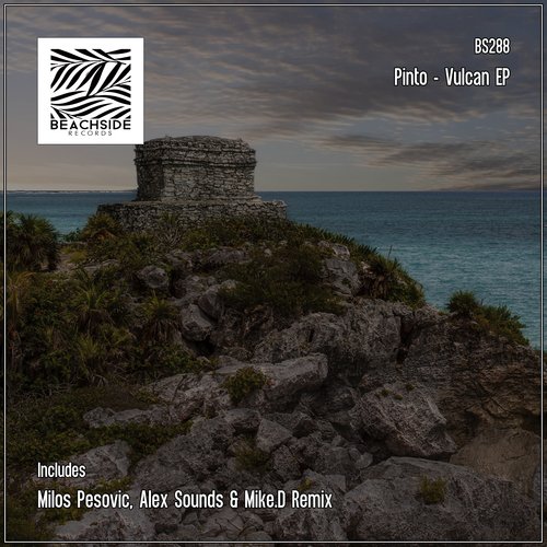 Rise (Milos Pesovic Remix) cover art