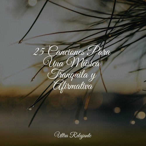 Boutique De Puestas De Sol cover art