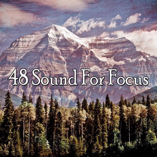 48 Sound For Focus_poster_image