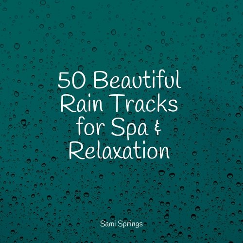 50 Beautiful Rain Tracks for Spa &amp; Relaxation_poster_image