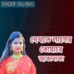 দেখতে লাগের তোয়ারে জাকানাকা