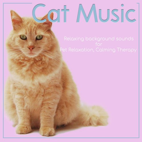 Cat Music: Relaxing Background Sounds for Pet Relaxation, Calming Therapy