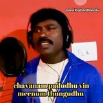 Chavanam Padudhu Vin Meenum Thungudhu