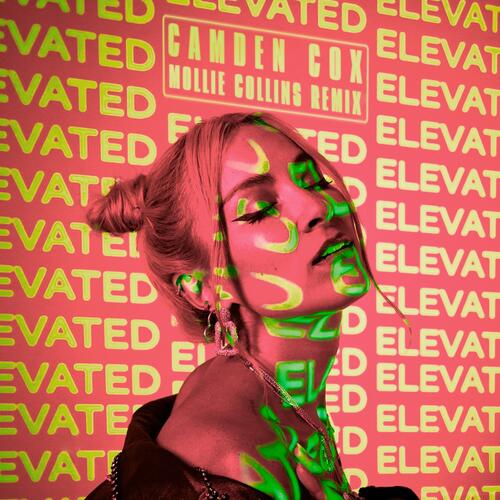 Elevated (Mollie Collins Remix)_poster_image