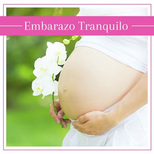 Embarazo Feliz cover art
