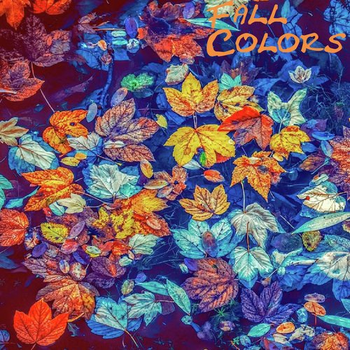 Sweetgums, Dogwoods, and Tupelos cover art